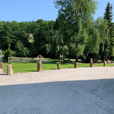 Landgasthof Steinmühl Hofbauer Frühstückspension und Campingplatz Waidhofen an der Ybbs Exterior foto